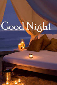 Good Night Love